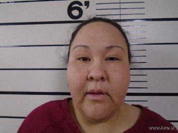 Joni Lynn Adams Mugshot