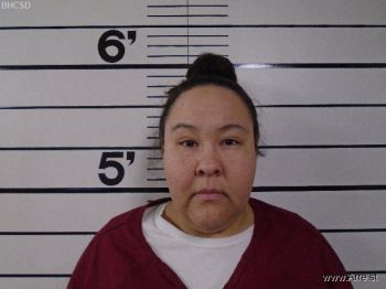 Joni Lynn Adams Mugshot