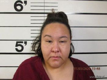 Joni Lynn Adams Mugshot