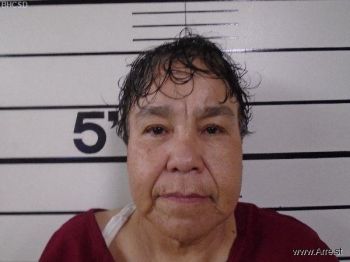 Laurie Ann Smith Mugshot