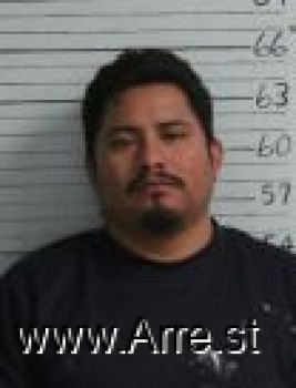 Luis M Martinez De La Luz Mugshot