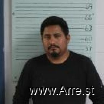 Luis M Martinez De La Luz Mugshot