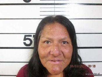 Mary Ann Longroach Mugshot