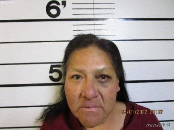 Mary Ann Longroach Mugshot