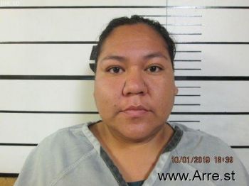 Michelle Nicole Ridesthewhitehippedhorse Mugshot