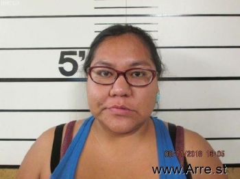 Michelle Nicole Ridesthewhitehippedhorse Mugshot