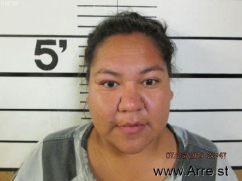 Michelle Nicole Ridesthewhitehippedhorse Mugshot