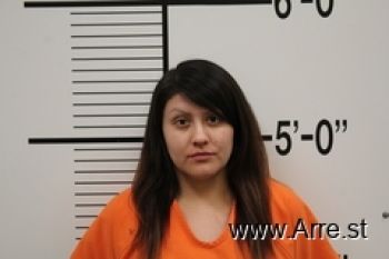 Sharon Ann Spang Mugshot