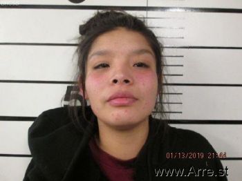 Shyanna Cree Wilson Mugshot