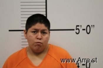 Tia Miranda Vijil Mugshot