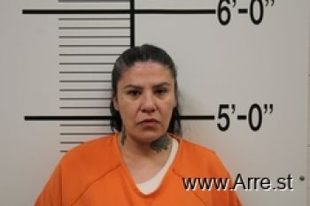 Tonya Jean Ridesatthedoor Mugshot