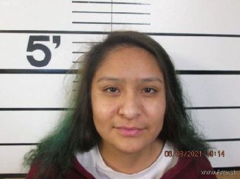 Trelyn Rae Twotwo Mugshot