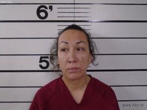 Alanna Kruger Arrest Mugshot