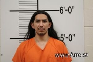 Andrew Wallace Arrest Mugshot