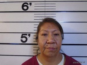 Ann Alden Arrest Mugshot