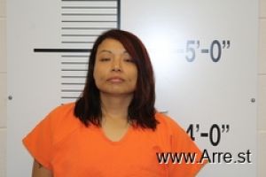 Ashley Hewankorn Arrest Mugshot