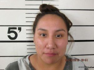 Camille Gutierrez Arrest Mugshot