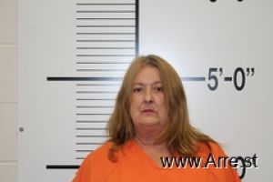 Jane Voelkel Arrest Mugshot