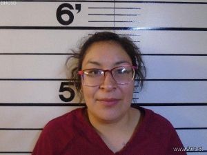 Larissa Littlelight Arrest Mugshot