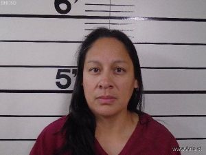 Marina Plainbull Arrest Mugshot