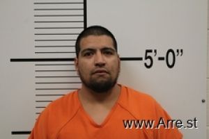 Pablo Gonzalez Arrest Mugshot