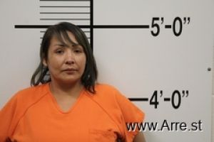 Raelynn Finley Arrest Mugshot