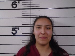 Santina Bishop Arrest