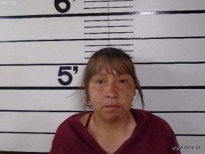 Stephanie Littlelight Arrest Mugshot