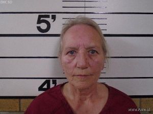 Susan Davis Arrest Mugshot