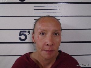 Teri Redwolf Arrest Mugshot