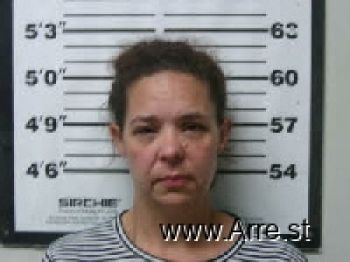 Amanda Holloman Lee Mugshot