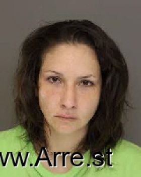 Amber Bibey Johnson Mugshot