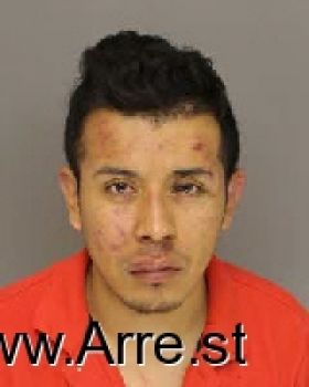 Angel  Ortega Mugshot