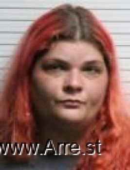 Ashley Nicole Wilkins Mugshot