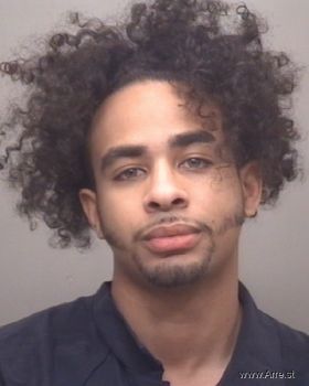 Aaron Alexander Alston Mugshot