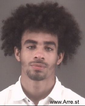 Aaron Alexander Alston Mugshot