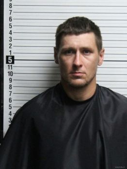 Aaron Wesley Lowe Mugshot