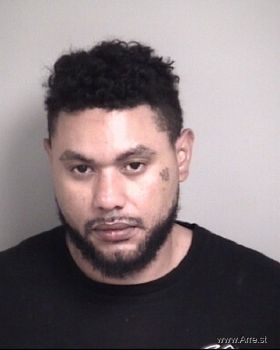 Ahmad Rashad Robinson-tyus Mugshot