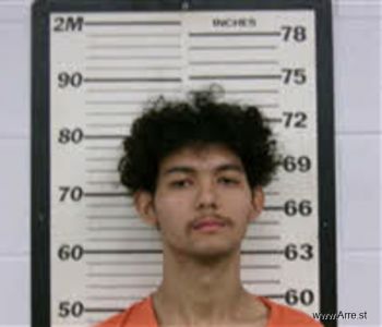 Aisen Alexander Ledford-liu Mugshot