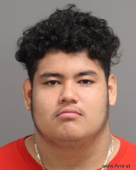 Alexander  Sanchez-fajardo Mugshot