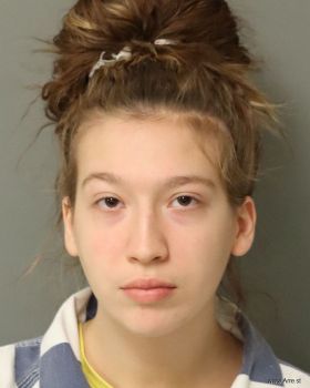 Alexis Ashley Marie Anderson Mugshot