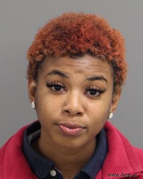 Alexis Mantasia Dixon Mugshot