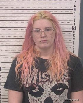 Allyson Nicole Holland Mugshot