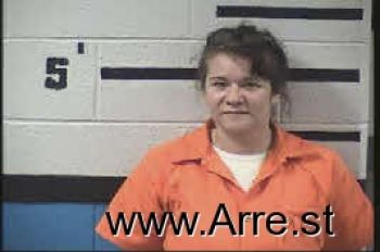 Amanda Elaine Collins Mugshot