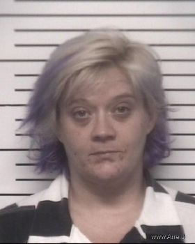 Amanda Louise Collins Mugshot