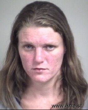 Amanda Dawn Howard Mugshot