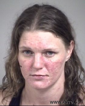 Amanda Dawn Howard Mugshot