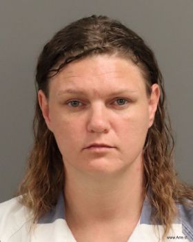 Amanda Dawn Howard Mugshot