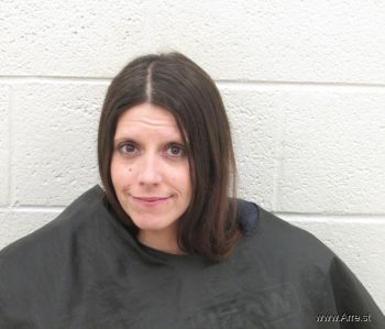 Amanda Lynn Mann Mugshot