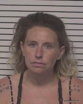 Amanda Lyn Megenedy Mugshot